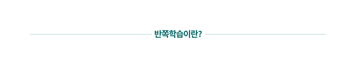 특허받은 반쪽학습법이란